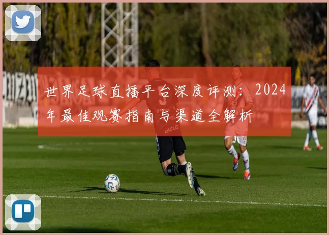 世界足球直播平台深度评测：2024年最佳观赛指南与渠道全解析