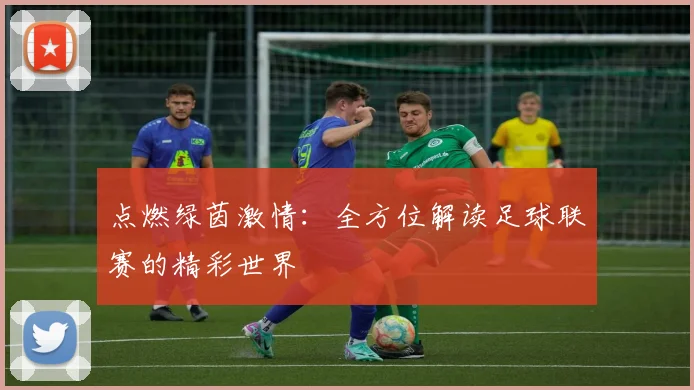点燃绿茵激情：全方位解读足球联赛的精彩世界
