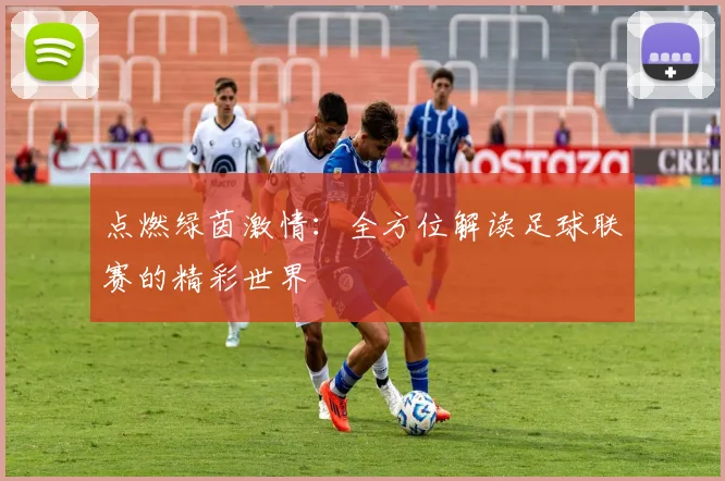 点燃绿茵激情：全方位解读足球联赛的精彩世界